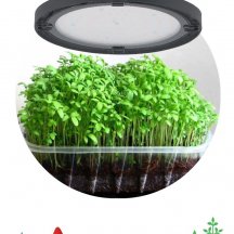 Прожектор светодиодный для растений ЭРА 50W 1310K Fito-50W-RB-Led-Ufo Б0053280