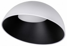 Потолочный светильник Egg 10197/500 WB