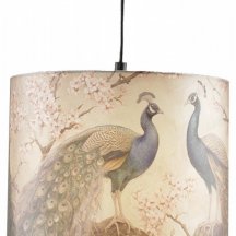 Подвесной светильник Moderli Strauss V11514-1P