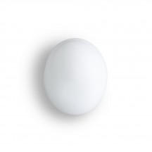 Бра Chic AP CHIC BC BC