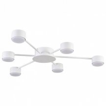Потолочная люстра Lumion Torina 8343/6C
