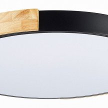 Потолочный светильник Evoluce Delia SLE201342-01