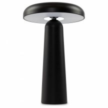 Интерьерная настольная лампа Freya Mushroom FR6109TL-L4B