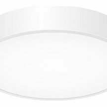 Потолочный светильник для чтения Citilux  cL72424V0