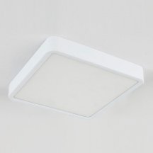 Потолочный светильник для прихожей elektrostandard  4690389134623