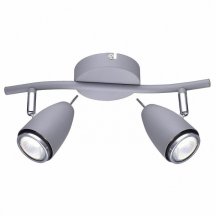 Настенно-потолочный светильник Arte Lamp Regista A1966AP-2GY