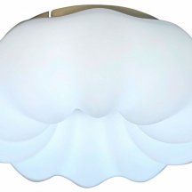 Потолочный светильник Soft ZRS.1118.2