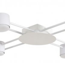 Потолочная люстра Lumion Benua 8305/8C