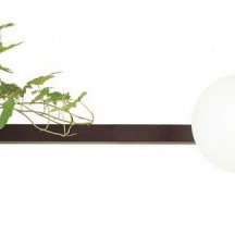 Настенный светильник Odeon Light Flower 4681/2W