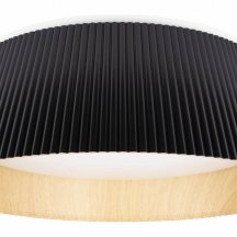 Потолочный светильник Loft IT Evans 10224 Black