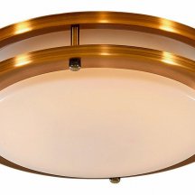 Настенно-потолочный светильник Citilux Бостон CL709203N