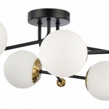 Потолочная люстра Lumion Melody 6581/6C