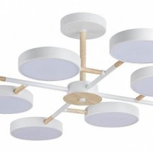 Потолочная люстра Lumion Brad 5653/99CL