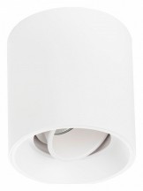 Накладной светильник Lightstar Globo LED 051006