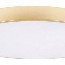 Потолочный светильник Loft IT Flims 10228/B