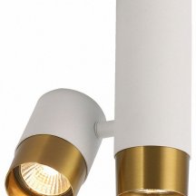 Точечный светильник Lussole Gilbert LSP-8829