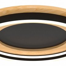 Потолочный светильник Lightstar Lodi 723017