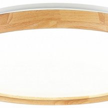 Потолочный светильник Evoluce Delia SLE201382-01