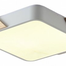 Потолочный светильник Alberro ZRS.01285.60