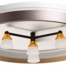 Потолочная люстра De City Семья 66 660014701