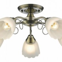 Потолочная люстра Velante 708-507-05