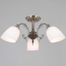 Потолочная люстра Reluce 70577-0.3-03