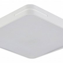 Потолочный светильник Modern LED LAMPS 81331