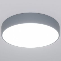 Накладной светильник Eurosvet Entire a062834