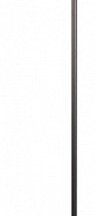 Торшер Loft IT Ritz 10253F/A Black