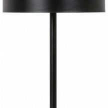 Интерьерная настольная лампа Arte Lamp Skat A7052LT-2BK