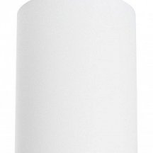 Подвесной светильник Lightstar Rullo RP4363437