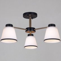 Потолочная люстра Reluce 30560-0.3-03 BK+FG