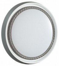 Настенно-потолочный светильник Rahig 7644/ELN