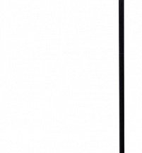 Торшер Arte Lamp Sebastian A7051PN-1BK