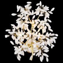 Настенный светильник Wertmark Dorothy WE193.03.401