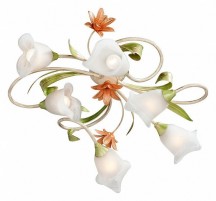 Потолочная люстра Vitaluce V1532/6PL