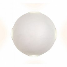Уличный настенный светодиодный светильник Ambrella light Sota FW134