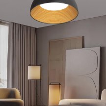 Потолочный светильник  F0724-13