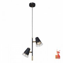 Подвесной светильник F-promo Trandy 4618-2P