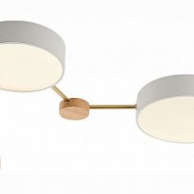 Потолочная люстра Evoluce Dossena SLE600102-04