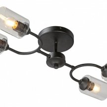 Потолочная люстра Vitaluce V2822-1/4PL