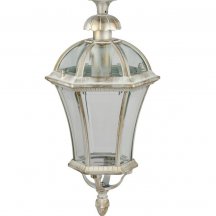 Потолочный светильник уличный Oasis Light ROMA L 95205LA Gw