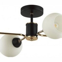 Потолочная люстра Lumion Kodi 5646/4C