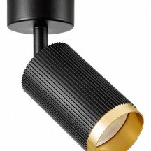 Спот Lampit RIN TS TK10-C1 BK+GD