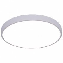 Потолочный светодиодный светильник Arte Lamp Arena A2670PL-1WH