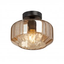 Потолочный светильник  V2559-1/1PL