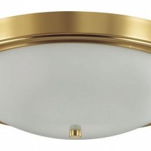 Настенно-потолочный светильник Lumion Nina 5259/4C