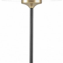 Интерьерная настольная лампа Lightstar Acrile 738973