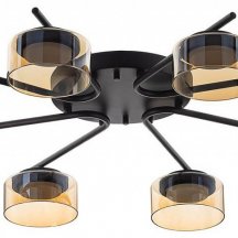 Потолочная люстра Citilux ESPACE CL243181