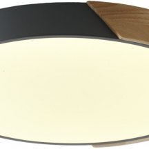 Потолочный светильник Alberro ZRS.01280.24